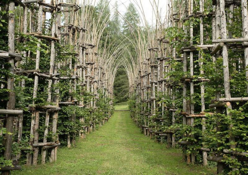 https://casasincreibles.com/catedral-hecha-arboles-artista-peculiar/