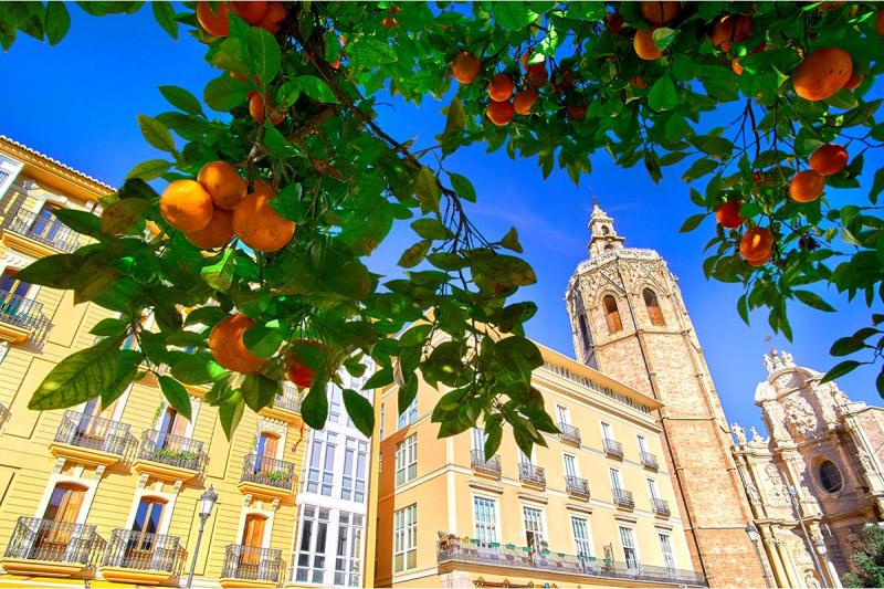 Valencia. Forma y desarrollo urbano