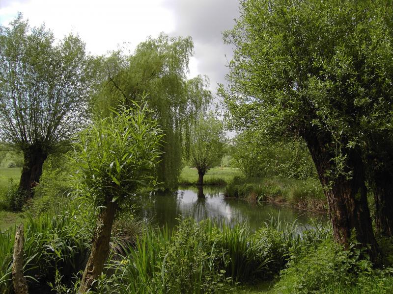 Museum Insel Hombroich