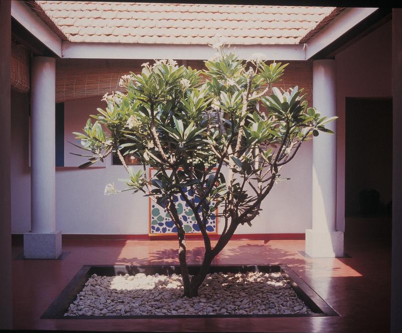 Vista del patio interior de la vivienda.