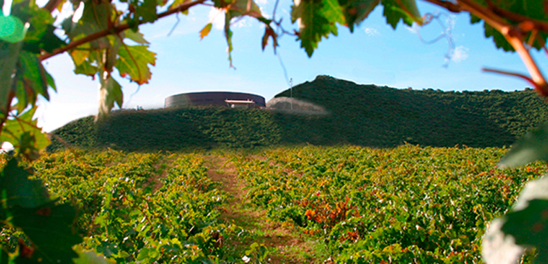 Relación bodega con el entorno