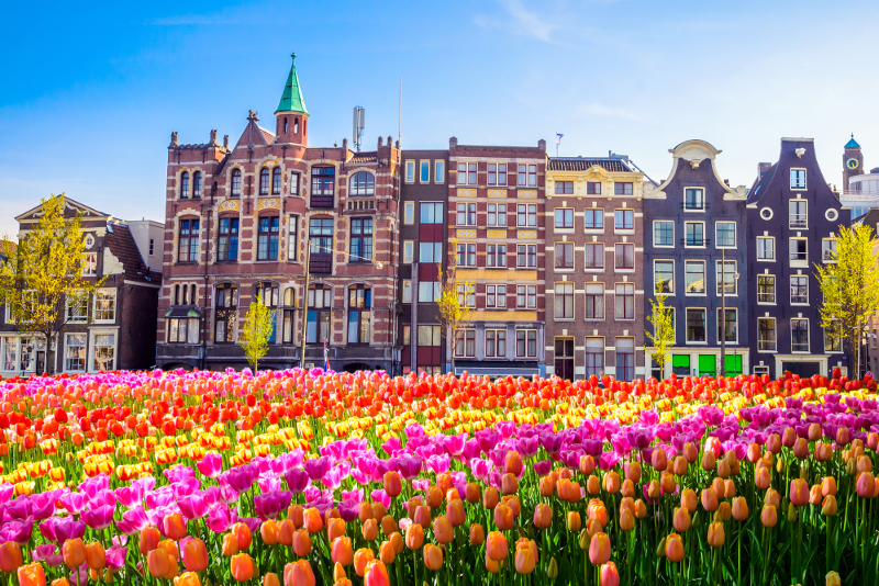 Amsterdam. Forma y desarrollo urbano
