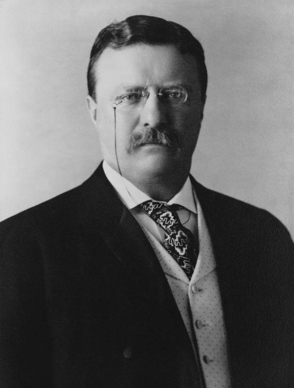 ROOSEVELT, Theodore