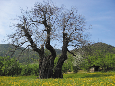 Vista del paisaje.