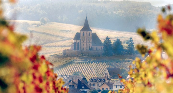 https://www.trimbach.fr/en/clos-sainte-hune