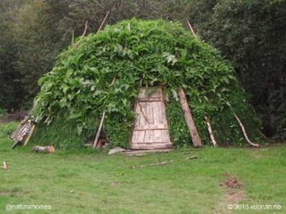 Cabaña con la capa de tepe
