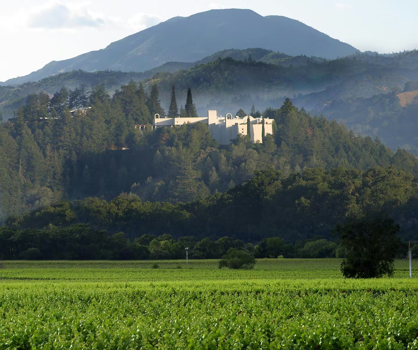 https://www.exploretock.com/sterlingvineyards/images/118650