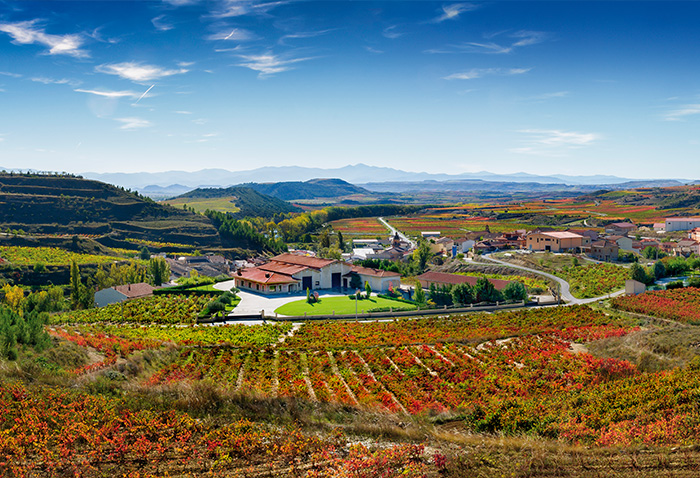 Imagen panorámica de la bodega rodeada de viñedos