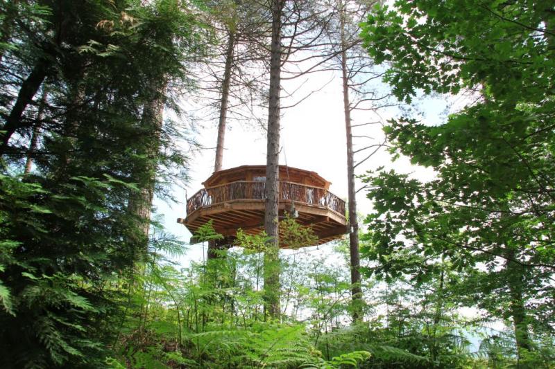 Cabaña en el árbol.