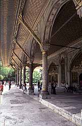imagenes/309_1.jpg