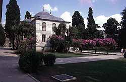 imagenes/314_1.jpg