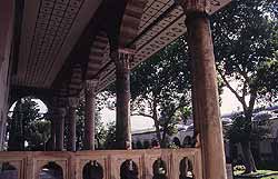 imagenes/315_1.jpg