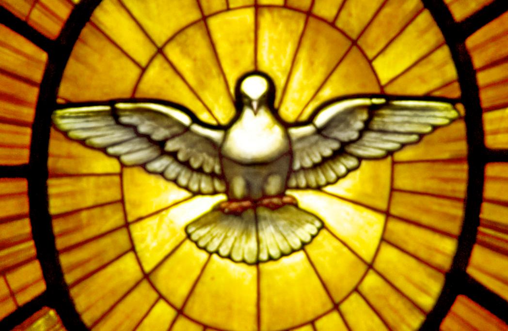 obras/1432_31_gian_lorenzo_bernini_-_dove_of_the_holy_spirit_1.jpg