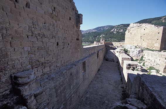 obras/37923_78.jpg