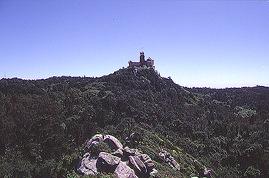 obras/4427_8.jpg